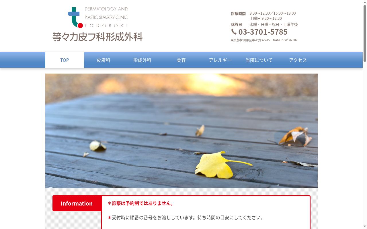 医療法人社団理正会　等々力皮フ科形成外科の公式サイトのスクリーンショット
