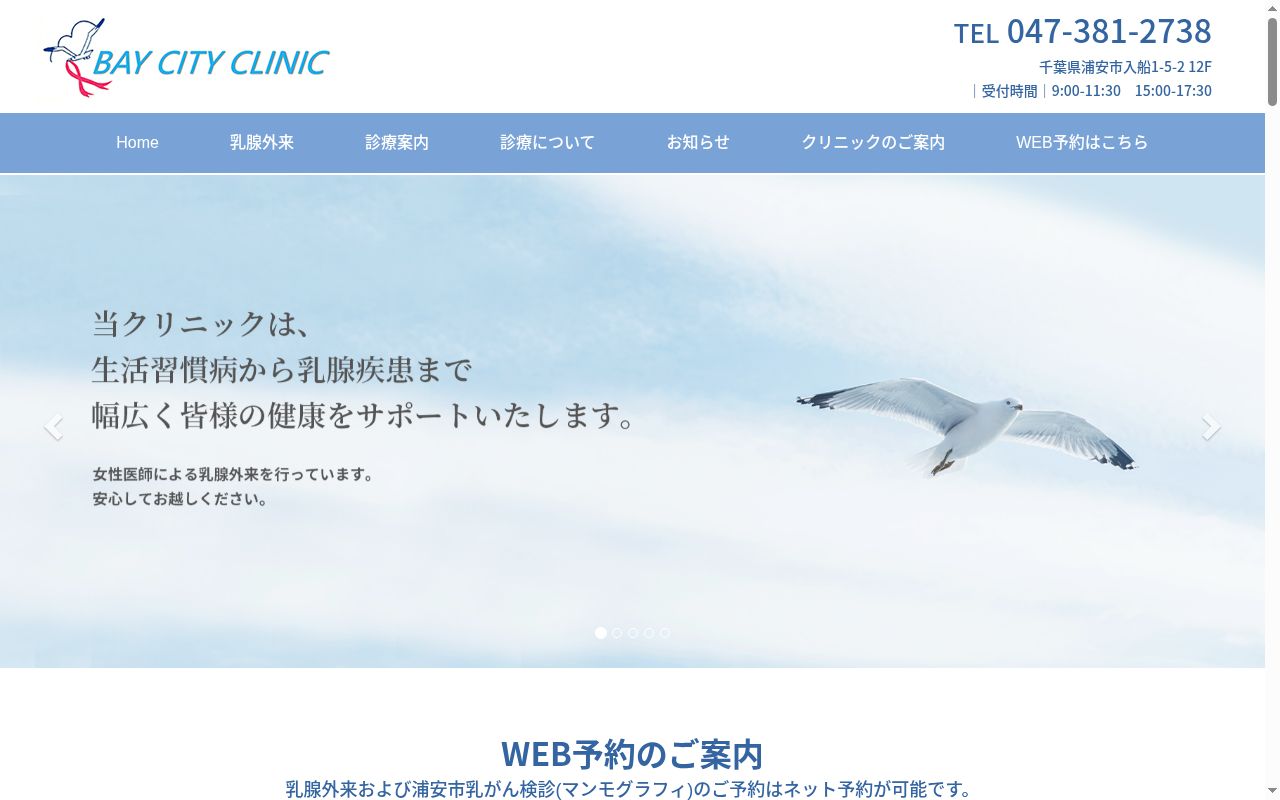 医療法人社団頌栄会ベイシティクリニックの公式サイトのスクリーンショット