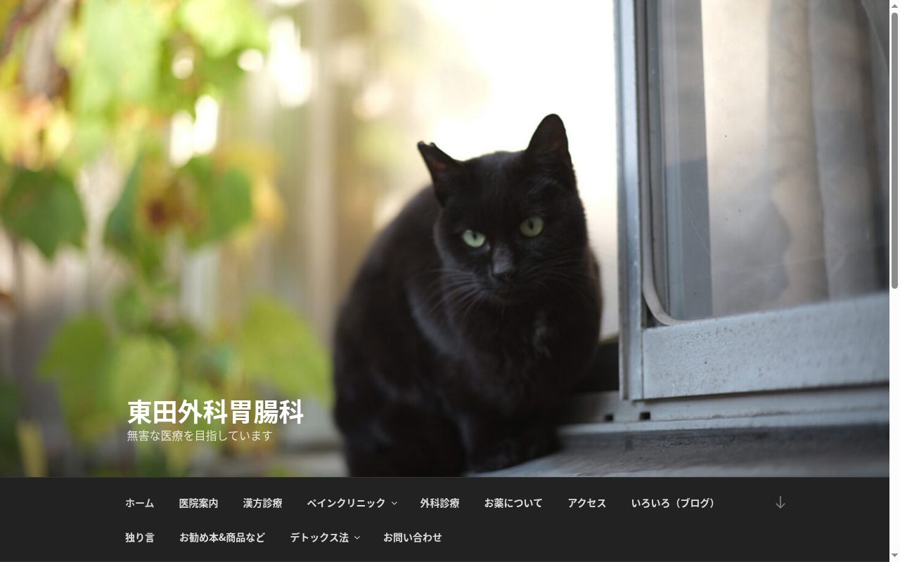 東田外科胃腸科の公式サイトのスクリーンショット