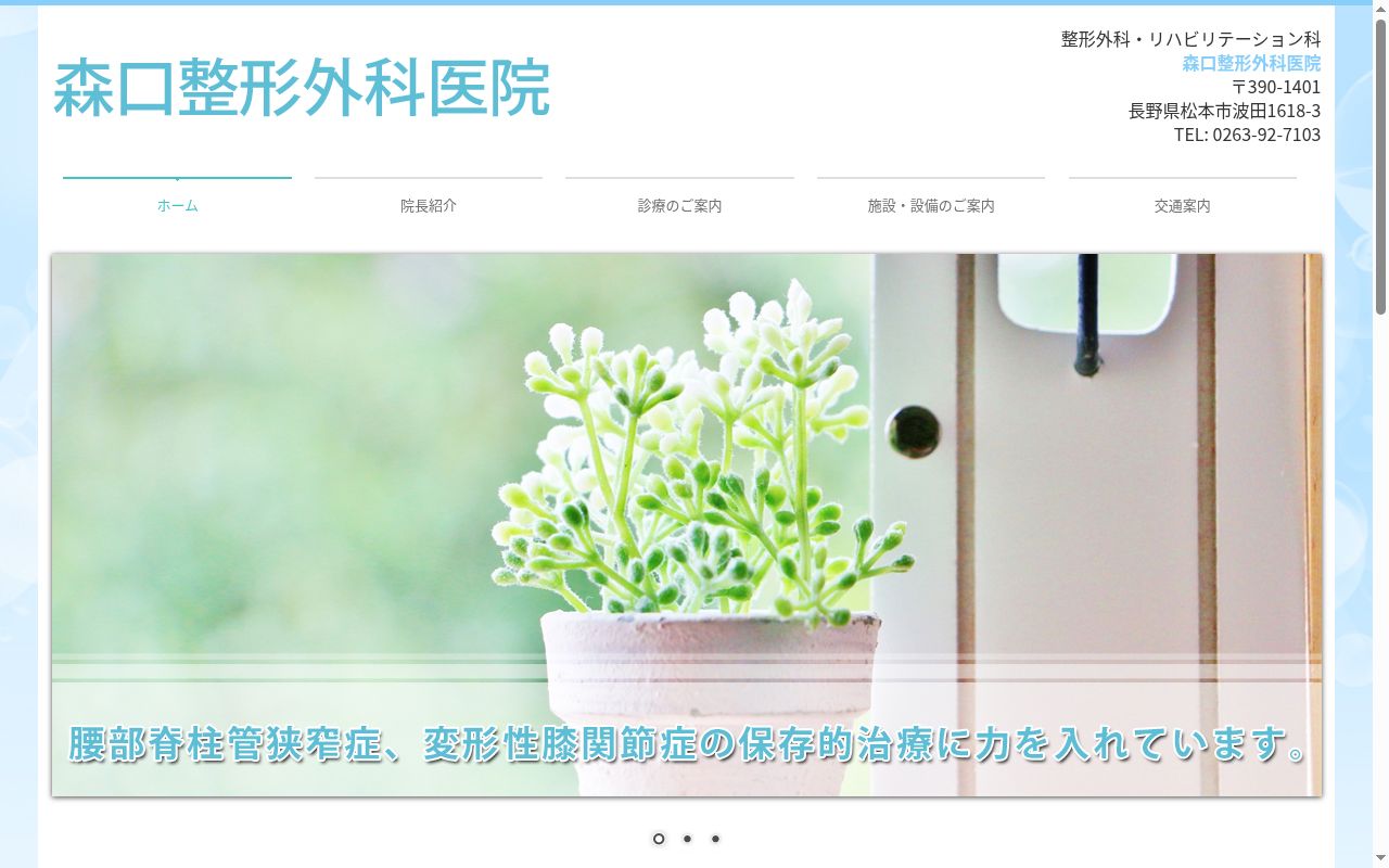 森口整形外科医院の公式サイトのスクリーンショット