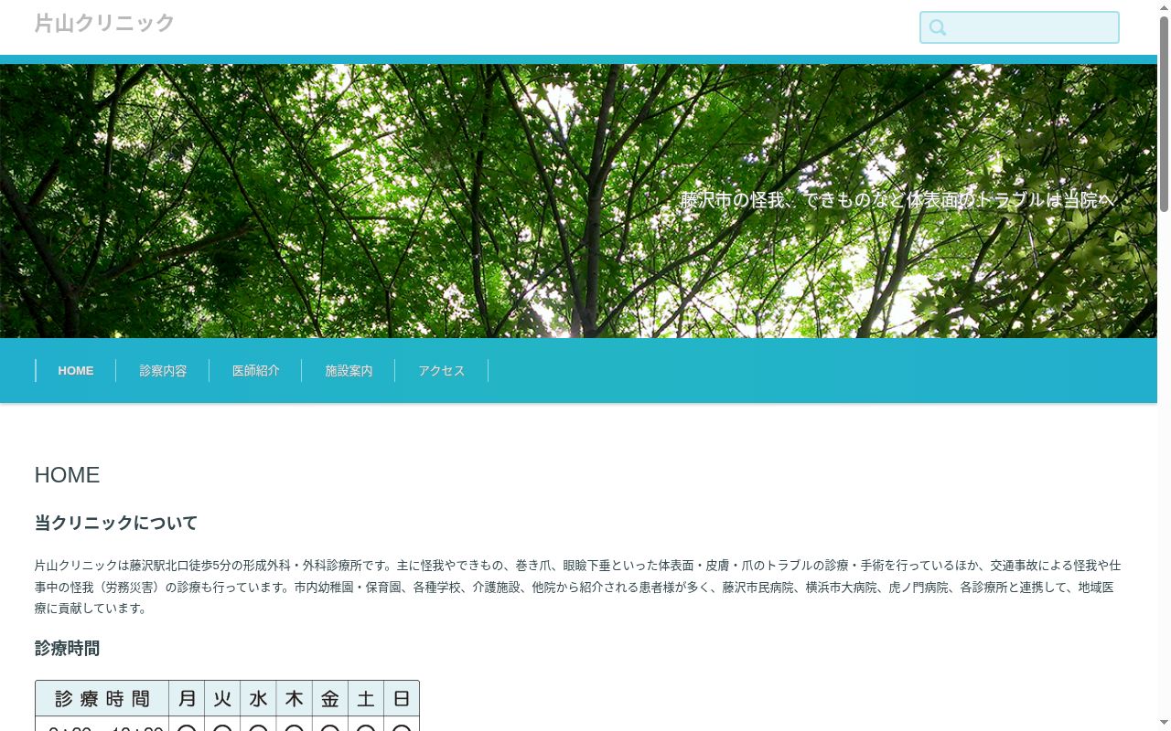 片山クリニックの公式サイトのスクリーンショット