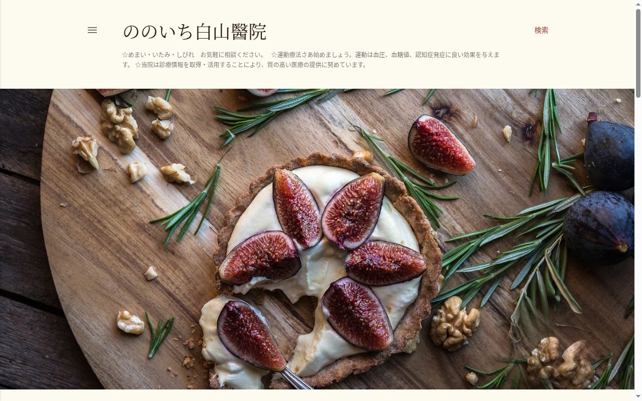 医療法人社団　ののいち白山醫院の公式サイトのスクリーンショット